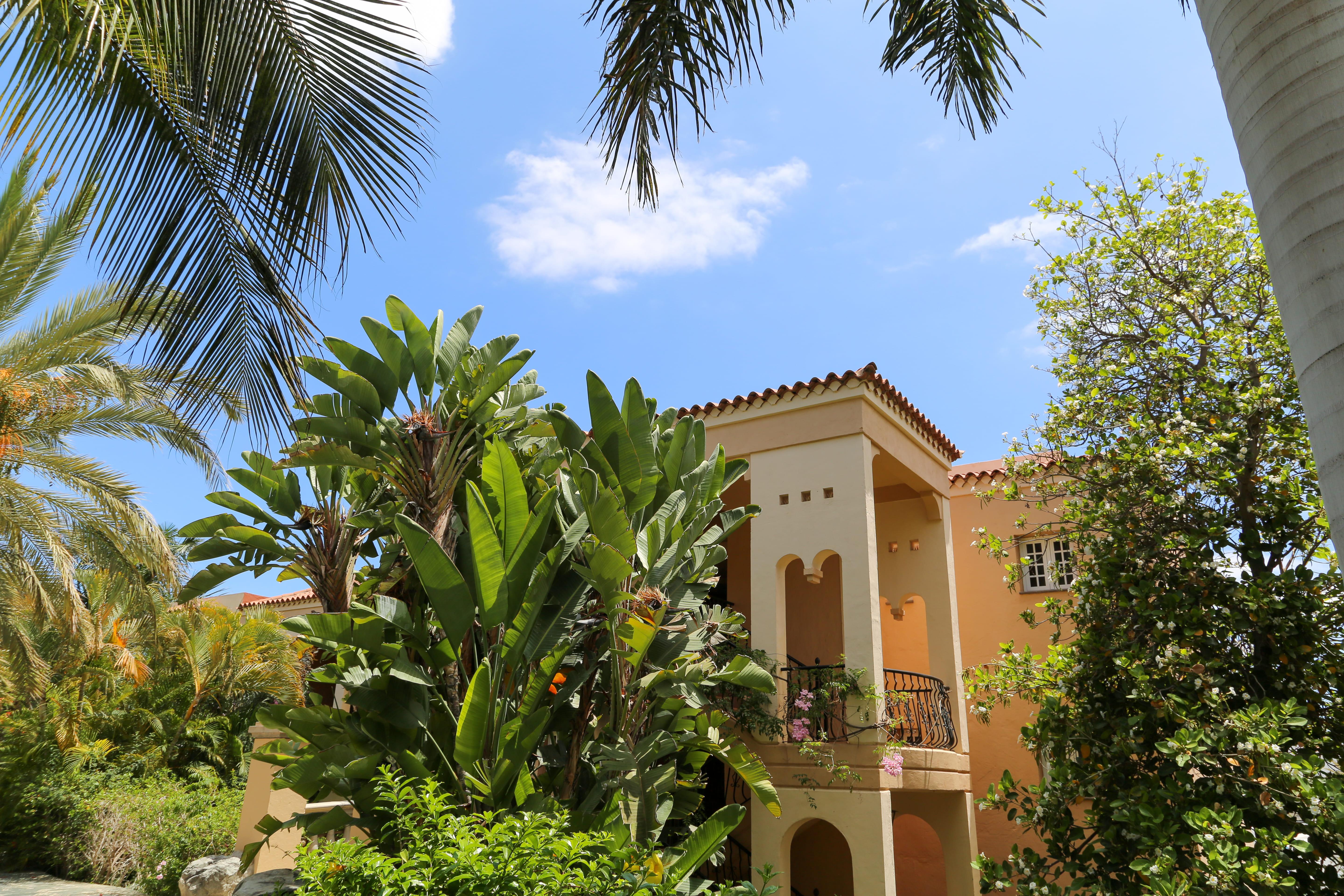 Palm Oasis Maspalomas Maspalomas  Bagian luar foto